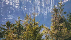 Chata Severka - Dolní Lomná