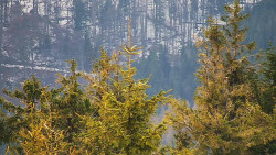 Chata Severka - Dolní Lomná