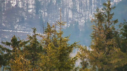 Chata Severka - Dolní Lomná