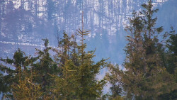 Chata Severka - Dolní Lomná