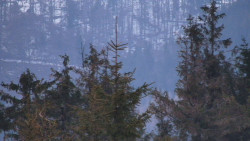 Chata Severka - Dolní Lomná