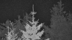 Chata Severka - Dolní Lomná