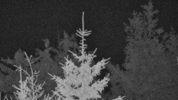 Chata Severka - Dolní Lomná