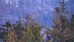 Chata Severka - Dolní Lomná