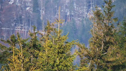 Chata Severka - Dolní Lomná