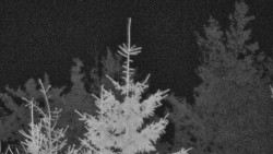 Chata Severka - Dolní Lomná