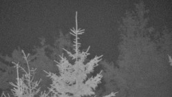 Chata Severka - Dolní Lomná