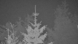 Chata Severka - Dolní Lomná