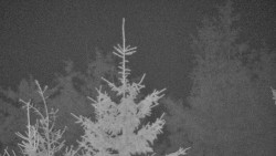 Chata Severka - Dolní Lomná