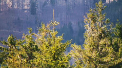 Chata Severka - Dolní Lomná