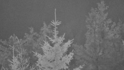 Chata Severka - Dolní Lomná