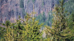 Chata Severka - Dolní Lomná