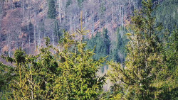 Chata Severka - Dolní Lomná