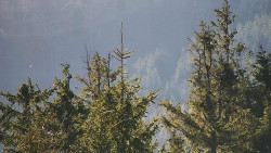 Chata Severka - Dolní Lomná