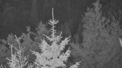 Chata Severka - Dolní Lomná