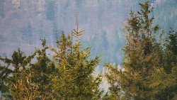 Chata Severka - Dolní Lomná