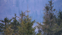 Chata Severka - Dolní Lomná