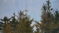 Chata Severka - Dolní Lomná