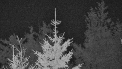 Chata Severka - Dolní Lomná