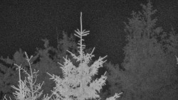 Chata Severka - Dolní Lomná