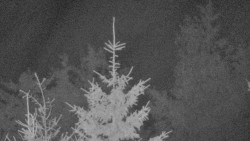 Chata Severka - Dolní Lomná