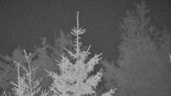 Chata Severka - Dolní Lomná