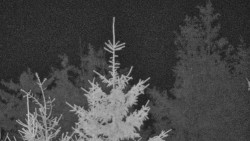 Chata Severka - Dolní Lomná