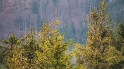 Chata Severka - Dolní Lomná