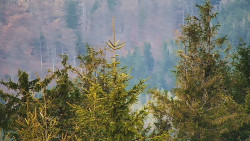 Chata Severka - Dolní Lomná