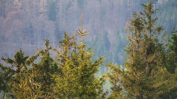 Chata Severka - Dolní Lomná