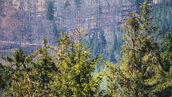 Chata Severka - Dolní Lomná