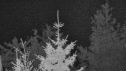 Chata Severka - Dolní Lomná