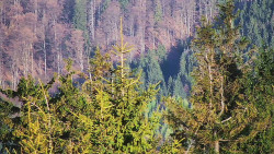 Chata Severka - Dolní Lomná