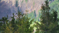 Chata Severka - Dolní Lomná