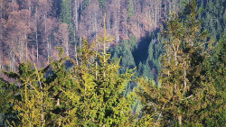 Chata Severka - Dolní Lomná