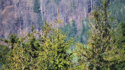 Chata Severka - Dolní Lomná