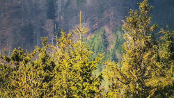 Chata Severka - Dolní Lomná