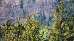 Chata Severka - Dolní Lomná