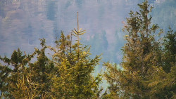 Chata Severka - Dolní Lomná