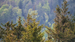 Chata Severka - Dolní Lomná