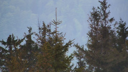 Chata Severka - Dolní Lomná