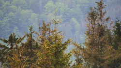 Chata Severka - Dolní Lomná