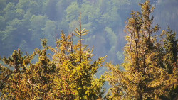 Chata Severka - Dolní Lomná