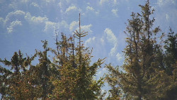 Chata Severka - Dolní Lomná