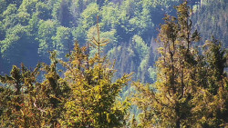 Chata Severka - Dolní Lomná