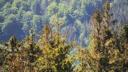 Chata Severka - Dolní Lomná