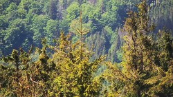 Chata Severka - Dolní Lomná