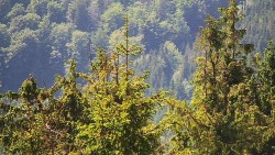 Chata Severka - Dolní Lomná