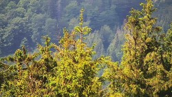 Chata Severka - Dolní Lomná