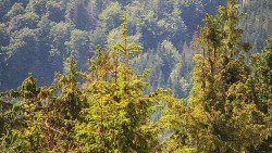 Chata Severka - Dolní Lomná